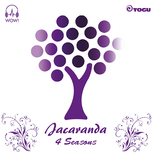 Jacaranda - 4 Seasons