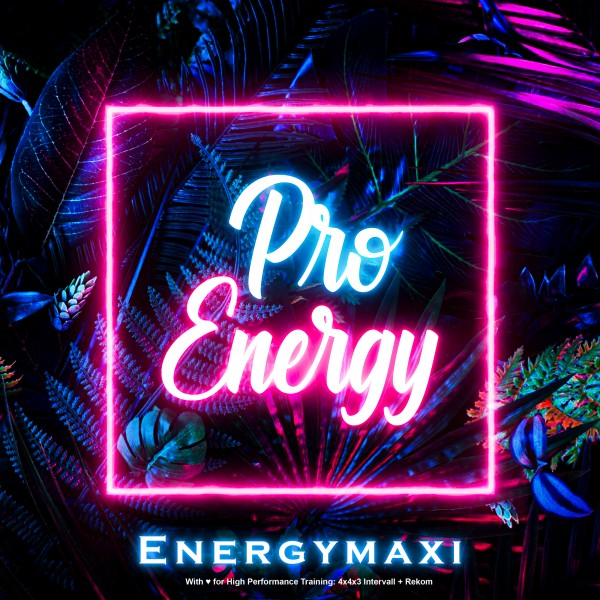 Pro Energy 4x4x3 + Rekom